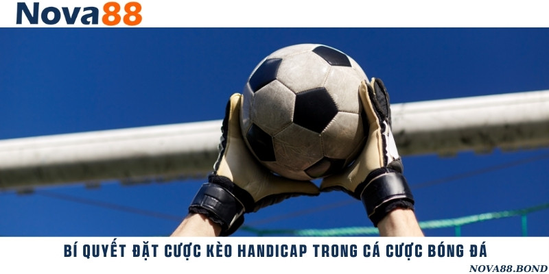 Mẹo đặt cược và soi kèo hiệu quả khi tham gia chơi kèo handicap