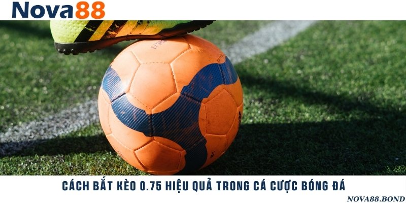 Tìm hiểu kỹ lưỡng về trận đấu và cửa cược để vào tiền hợp lý khi chơi kèo 0.75