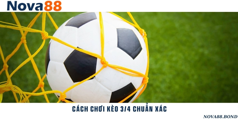 Ý nghĩa tỷ lệ 3/4 và cách tính thắng thua, tiền cược cụ thể