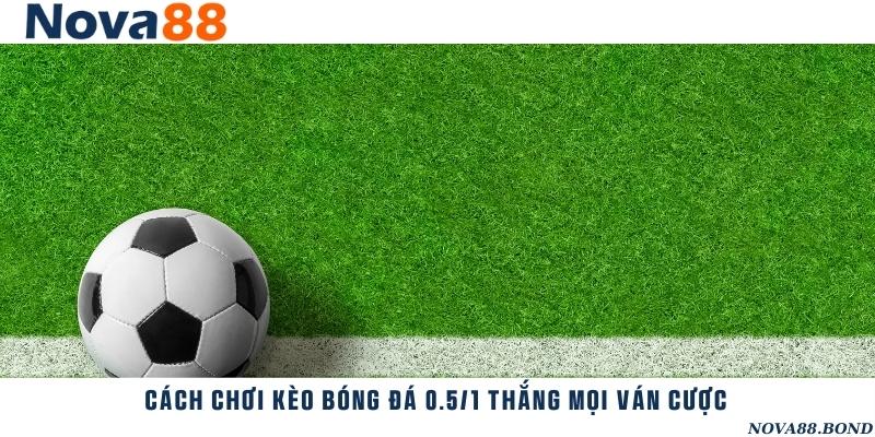 Bí kíp đặt cược hiệu quả với tỷ lệ 0.5/1