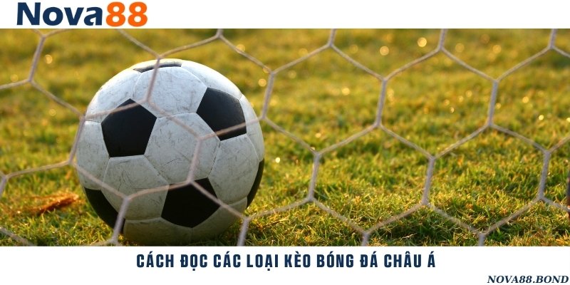 Các loại kèo bóng đá châu Á phổ biến và cách đọc chi tiết
