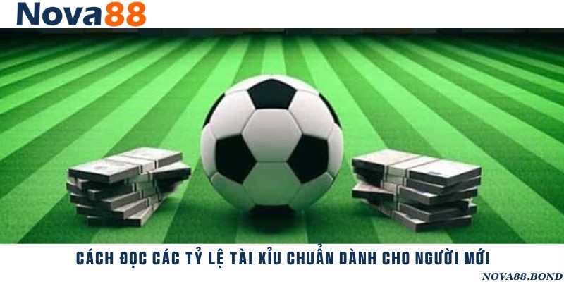 Hướng dẫn đọc các tỷ lệ tài xỉu thường gặp trong cá cược bóng đá