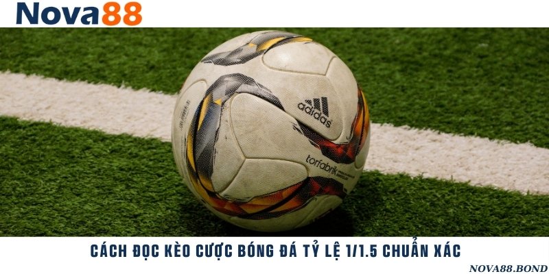 Hướng dẫn đọc kèo 1/1.5 chính xác cho người mới chơi cá cược bóng đá