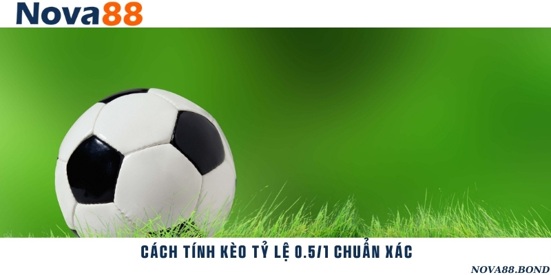 Hướng dẫn tính kèo với tỷ lệ cược 0.5/1