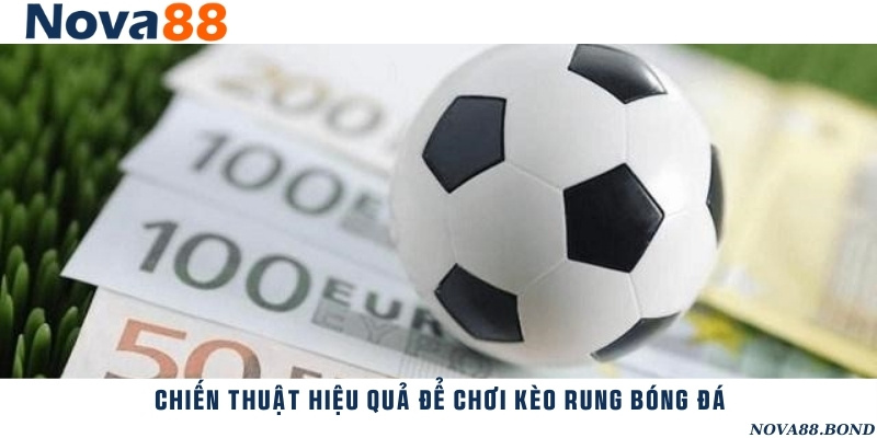Mẹo đặt cược kèo rung để thắng lớn