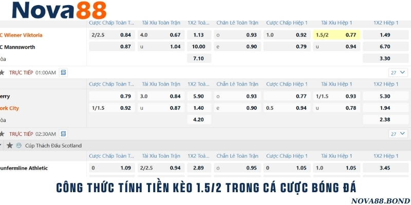 Kinh nghiệm đặt cược tỷ lệ bóng đá 1.5/2 hiệu quả