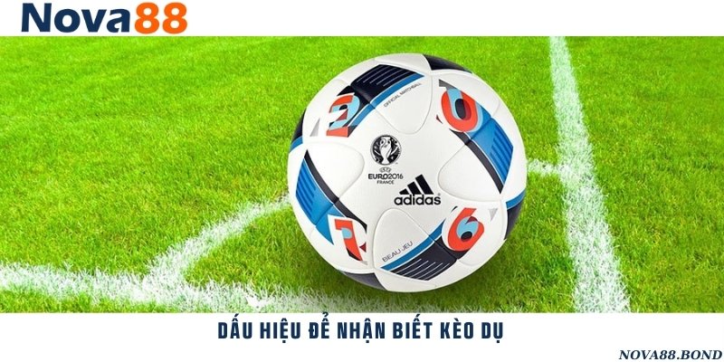Dấu hiệu chính xác để nhận biết được kèo bẫy
