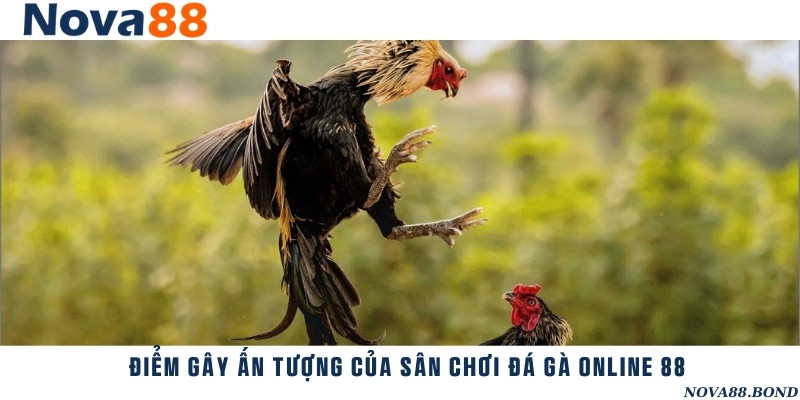 Ưu điểm vượt trội giúp thu hút người chơi của đá gà online 88