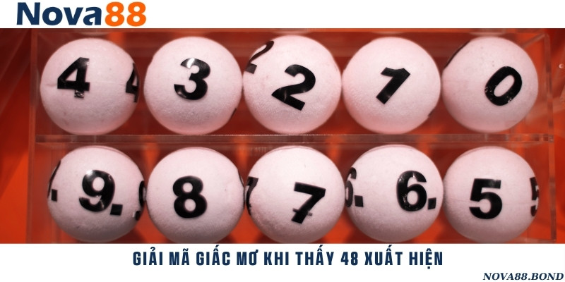 Gợi ý những giấc mơ liên quan đến con đề 48