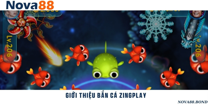 Khám phá thế giới đại dương có một không hai tại săn cá Zingplay