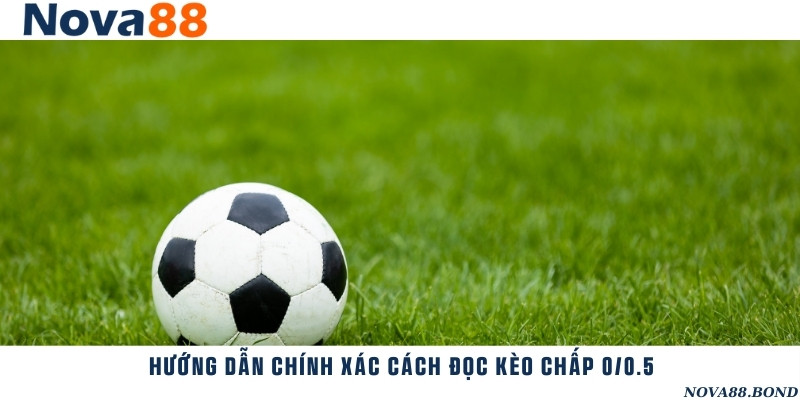 Hướng dẫn đọc kèo 0/0.5 trên bảng tỷ lệ nhà cái trong hai trường hợp cơ bản