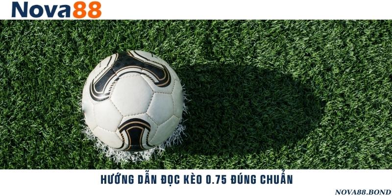 Cách đọc tỷ lệ kèo 0.75 chính xác cho người chơi mới