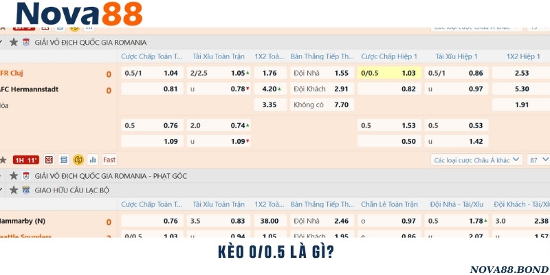 Tham gia cược tỷ lệ chấp 0/0.5 đầy thú vị