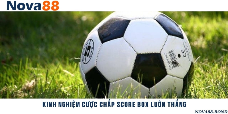 Mẹo chơi kèo chấp score box dễ dàng chiến thắng