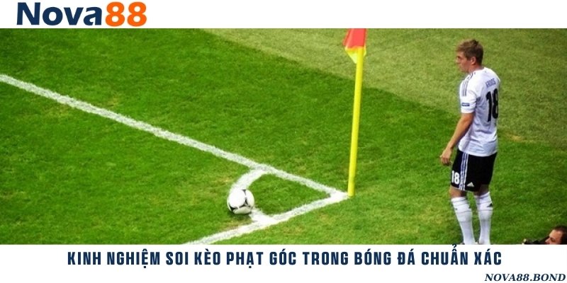 Chia sẻ những kiến thức soi kèo đỉnh cao