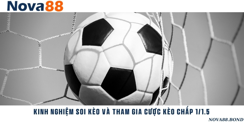 Phương pháp soi kèo cực hữu ích khi tham gia kèo 1/1.5