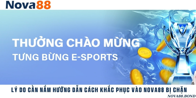 Nguyên nhân khiến cho đường link vào trang web cá cược thể thao bị chặn
