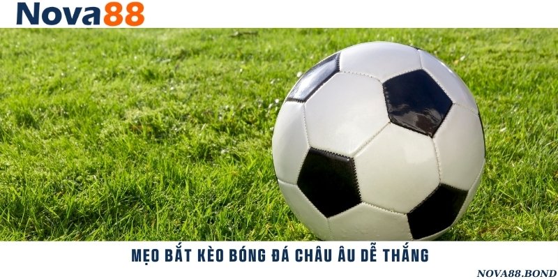 Mẹo bắt kèo và đặt cược để nâng cao tỷ lệ trúng thưởng