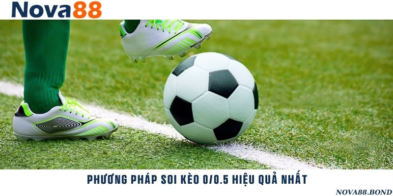 Chia sẻ những phương pháp soi kèo bóng đá theo tỷ lệ 0/0.5 hiệu quả