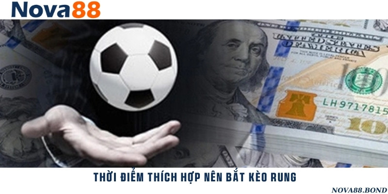 Thời điểm tham cược kèo rung đạt lợi nhuận tốt nhất