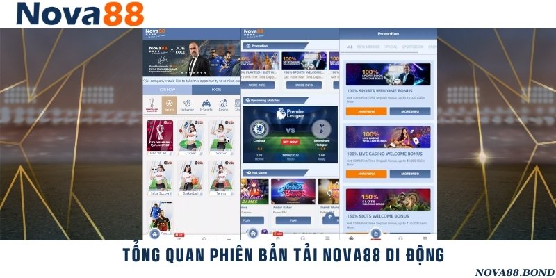 Giới thiệu về ứng dụng cá cược thể thao của nhà cái Nova88