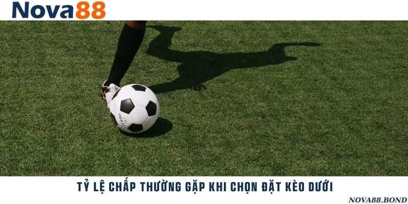 Các tỷ lệ chấp thường gặp cho đội kèo dưới